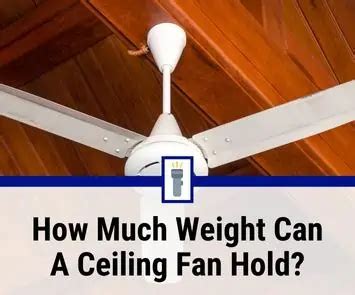 ceiling fan weight rating